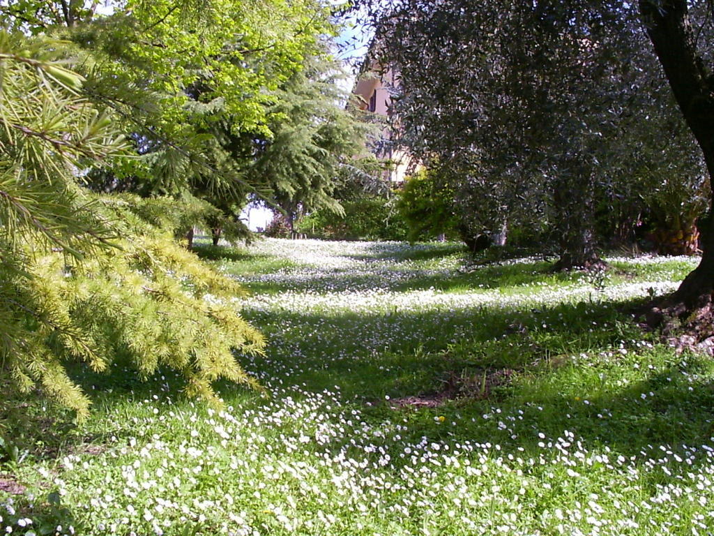 Bed and Breakfast La Vecchia Quercia Selci  Exteriér fotografie